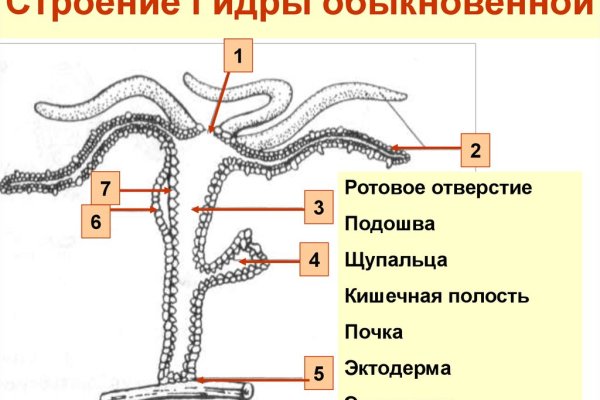 Kraken сайт kraken clear com