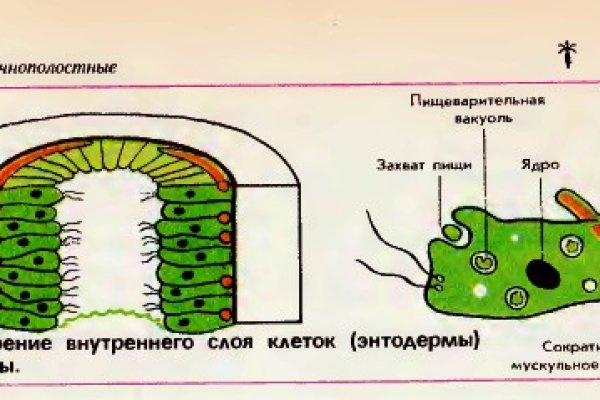 Кракен ссылка на тор официальная онион