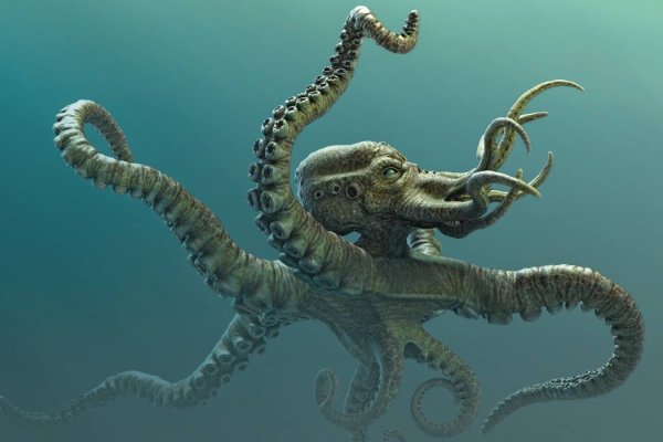 Kraken market